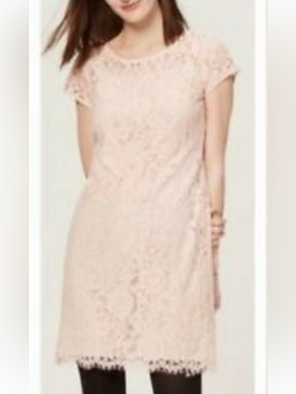 Loft Lace Shift Dress in Blush Pink - NWT - Size 6